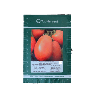 بذور طماطم الخير اف1
