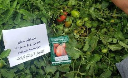 486810886_1181935510385399_716644723360154236_n